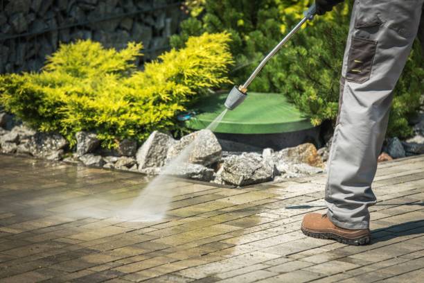 Best Dumpster Area Cleaning  in Bellflower, CA