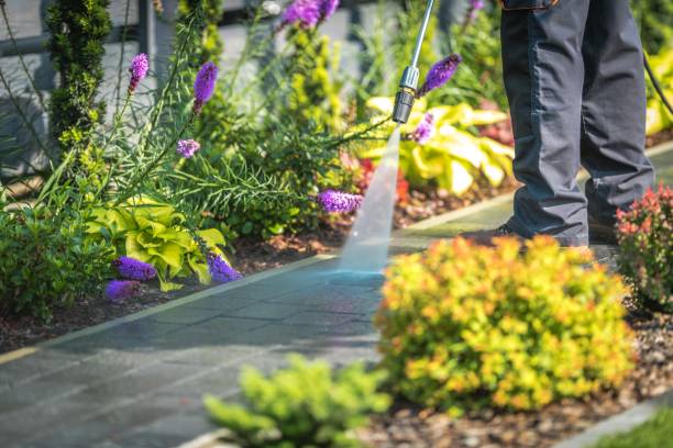 Best Spring Cleaning  in Bellflower, CA